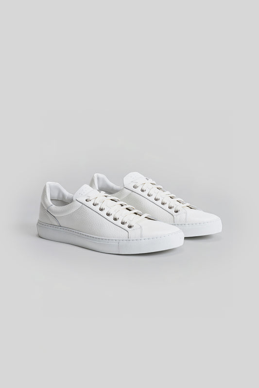 Terrence Sneaker